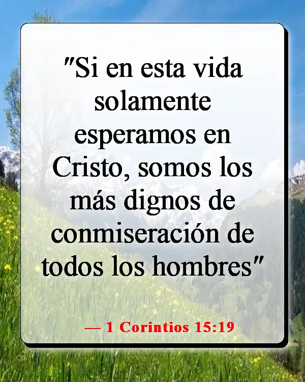 Versículos de la Biblia sobre celebrar la vida después de la muerte (1 Corintios 15:19)