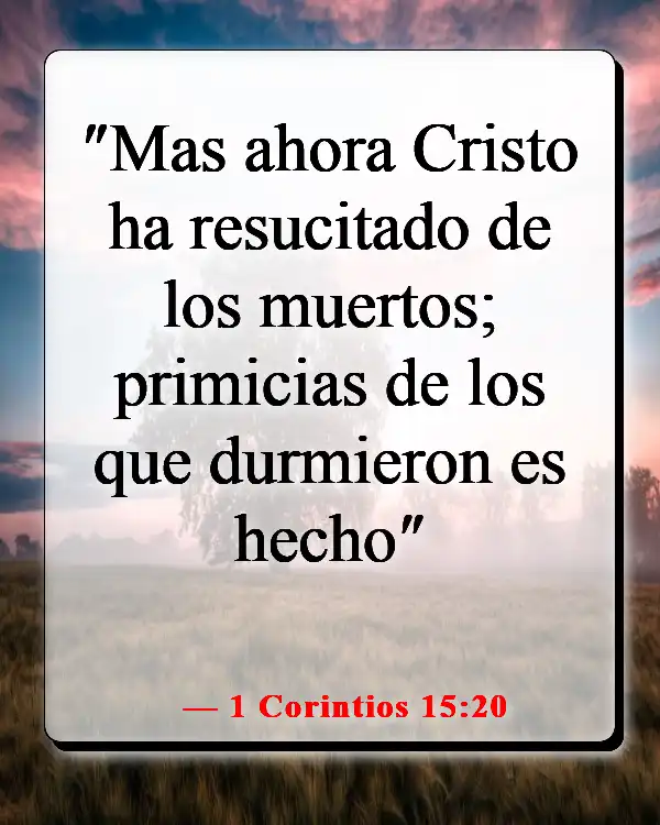 Versículos de la Biblia sobre celebrar la vida después de la muerte (1 Corintios 15:20)