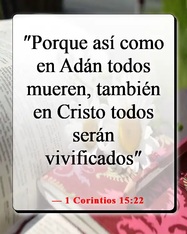 Versículos de la Biblia sobre no ser perfecto (1 Corintios 15:22)