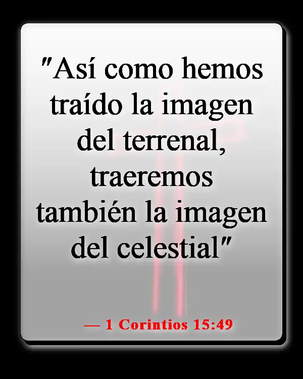 Versículos de la Biblia sobre la esperanza del cielo (1 Corintios 15:49)