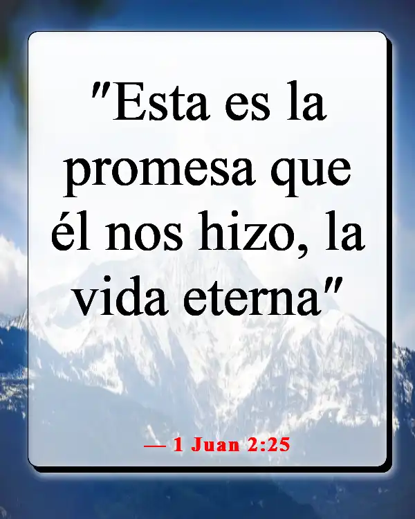 Versículos de la Biblia sobre celebrar la vida después de la muerte (1 Juan 2:25)