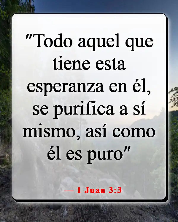 Versículos bíblicos sobre ser más como Jesús (1 Juan 3:3)