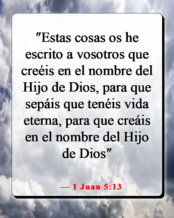 Versículos de la Biblia sobre creer sin ver (1 Juan 5:13)