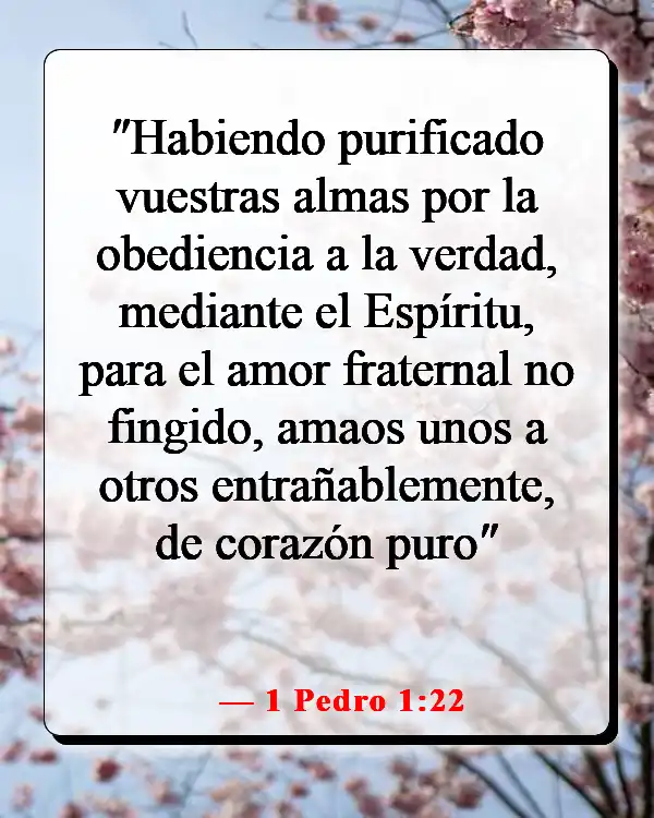 Versículos de la Biblia sobre pasar tiempo con amigos (1 Pedro 1:22)