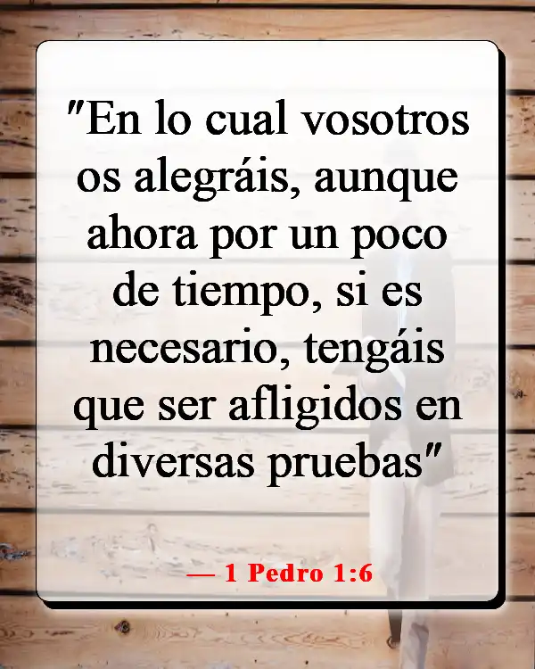 Versículo de la Biblia: Dios disciplina a quienes ama (1 Pedro 1:6)