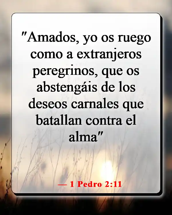 Versículos de la Biblia sobre los deseos mundanos (1 Pedro 2:11)