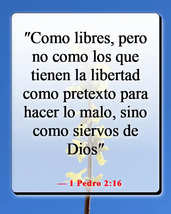 Versículo de la Biblia sobre ser libre de cadenas (1 Pedro 2:16)
