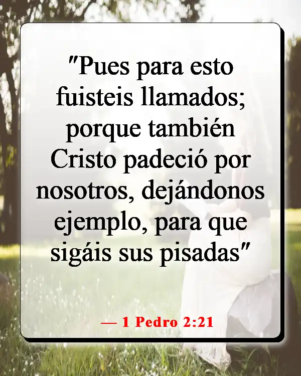 Versículos bíblicos sobre hombres piadosos (1 Pedro 2:21)