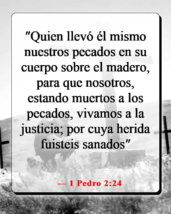 Versículos de la Biblia sobre estar bien con Dios (1 Pedro 2:24)