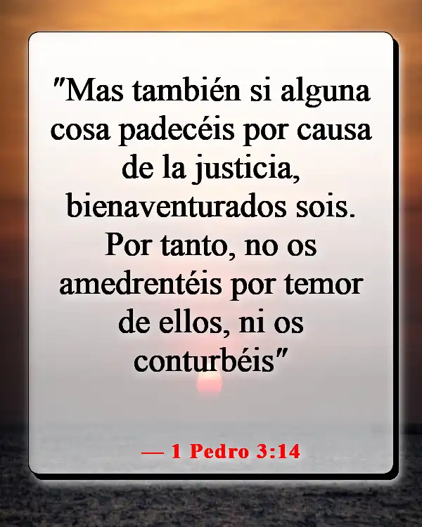 Versículos de la Biblia sobre luchar por lo que es correcto (1 Pedro 3:14)