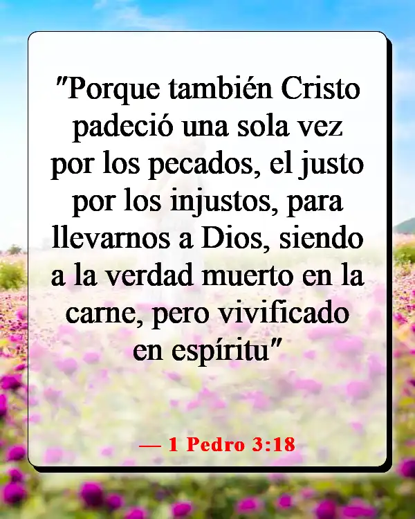 Versículos de la Biblia sobre el plan de salvación de Dios (1 Pedro 3:18)
