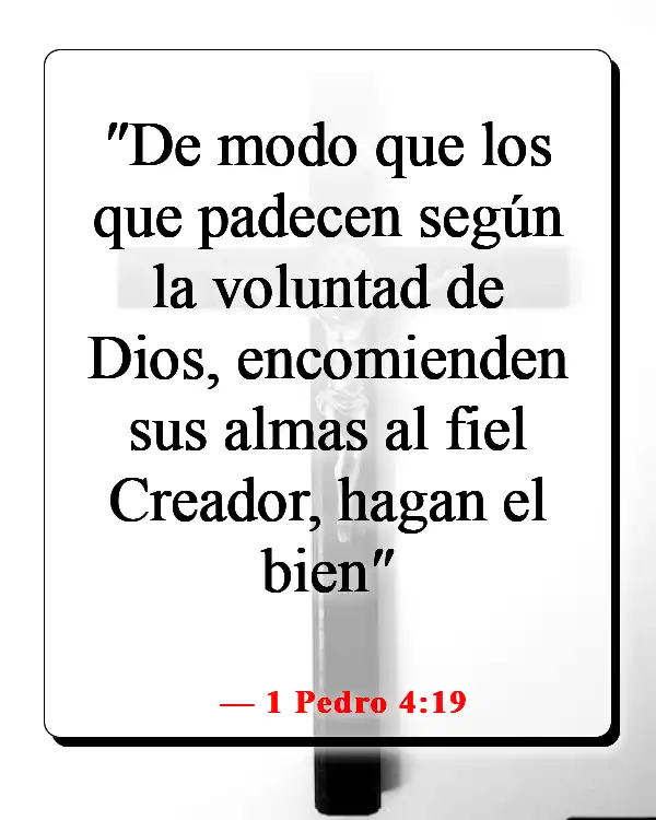 Versículos de la Biblia sobre sembrar y cosechar (1 Pedro 4:19)