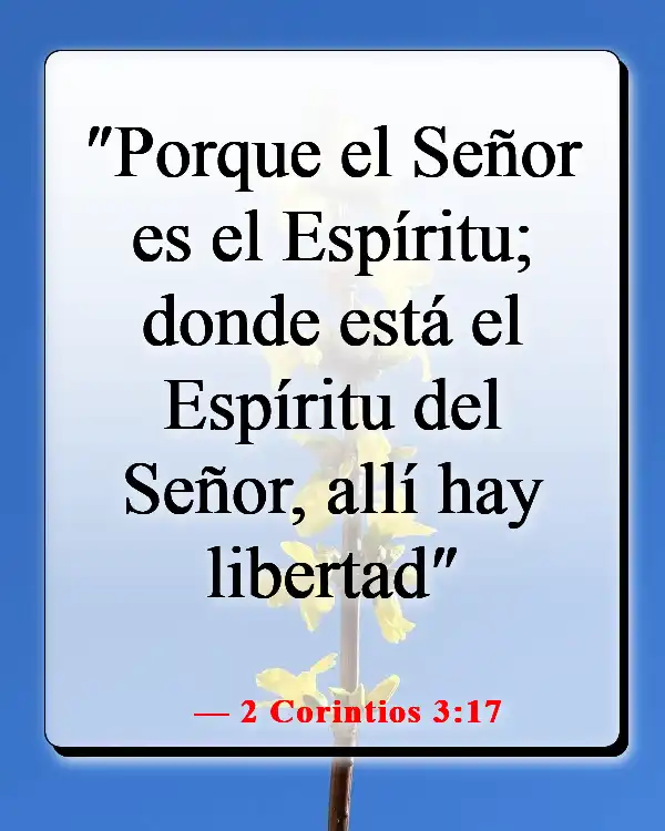 Versículos de la Biblia sobre luchar por lo que es correcto (2 Corintios 3:17)