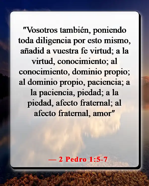 Versículos de la Biblia sobre luchar por lo que es correcto (2 Pedro 1:5-7)