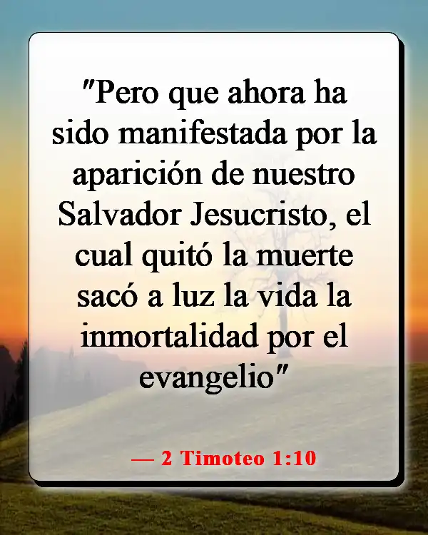 Versículos de la Biblia sobre celebrar la vida después de la muerte (2 Timoteo 1:10)