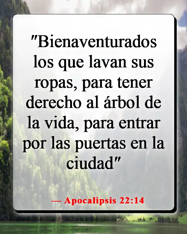 Versículos de la Biblia sobre la esperanza del cielo (Apocalipsis 22:14)