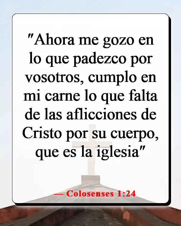 Versículo de la Biblia: Dios disciplina a quienes ama (Colosenses 1:24)