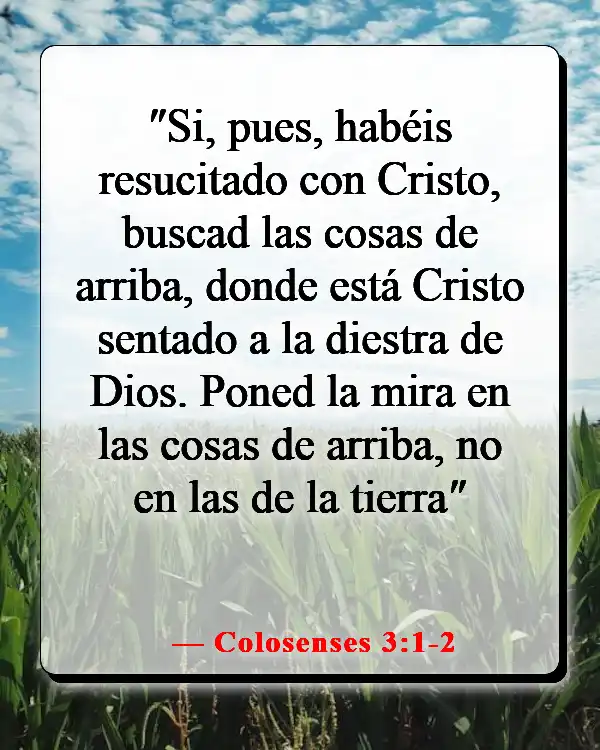 Versículos de la Biblia sobre estar bien con Dios (Colosenses 3:1-2)