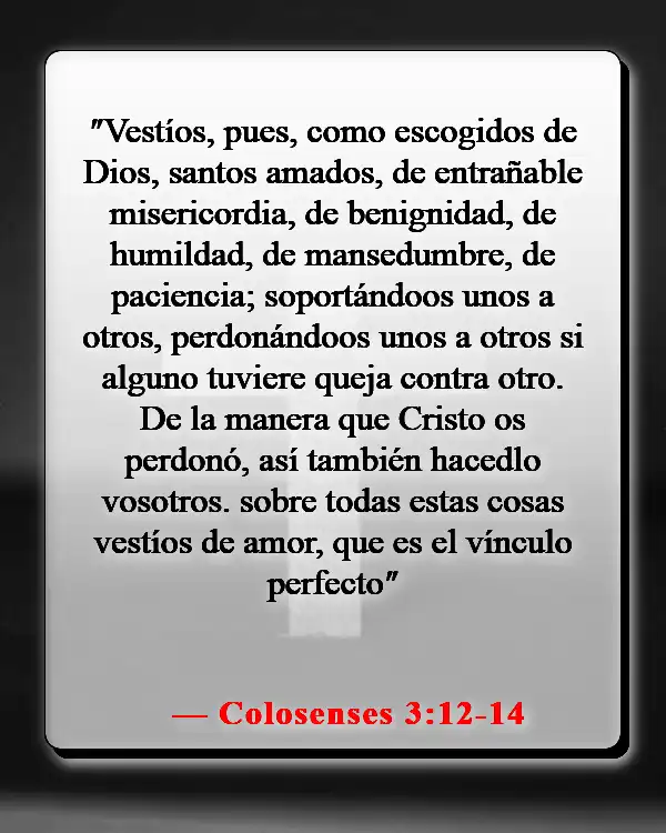 Versículos de la Biblia sobre elegir a los amigos correctos (Colosenses 3:12-14)