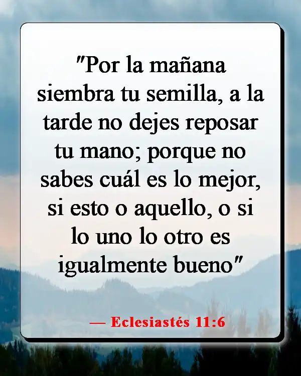 Versículos de la Biblia sobre sembrar y cosechar (Eclesiastés 11:6)