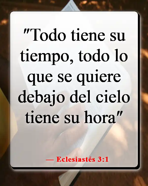 Versículos de la Biblia sobre las estaciones de la vida (Eclesiastés 3:1)