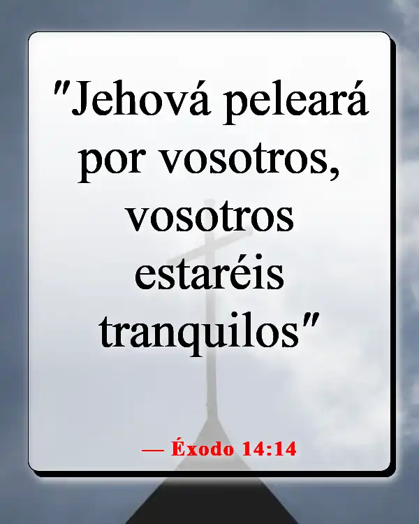 Versículo bíblico sobre las pruebas que nos hacen más fuertes (Éxodo 14:14)