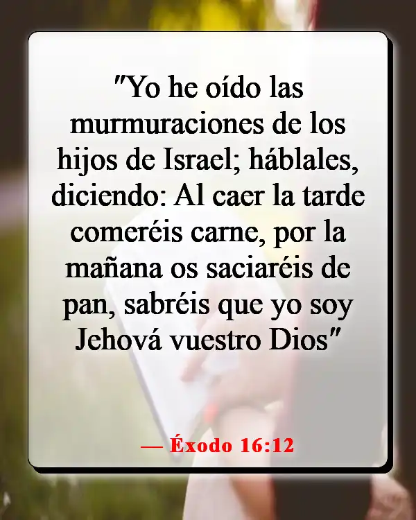 Versículos de la Biblia sobre la comida y la comunión (Éxodo 16:12)