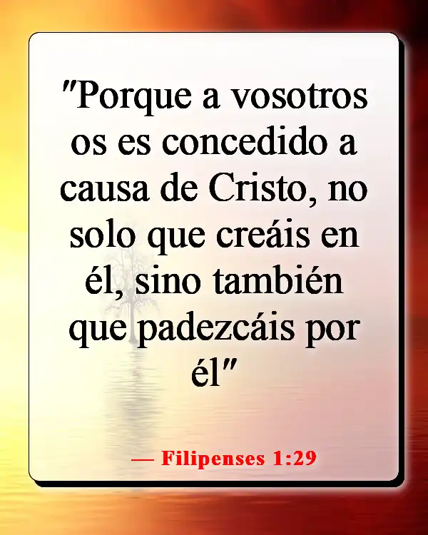 Versículos de la Biblia sobre creer sin ver (Filipenses 1:29)