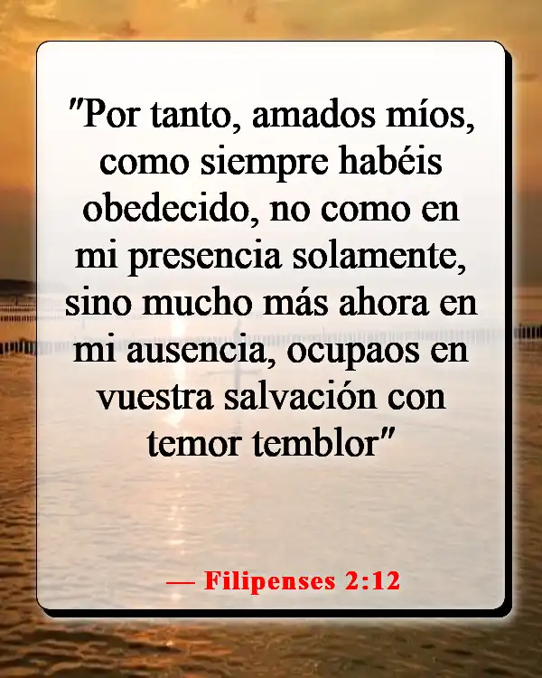 Versículos de la Biblia sobre asumir la responsabilidad de tus propias acciones (Filipenses 2:12)