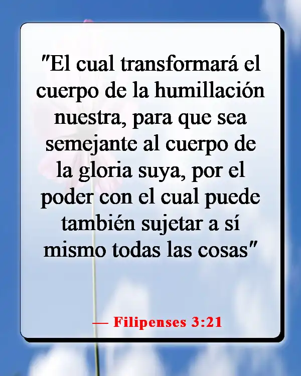 Versículos de la Biblia sobre la esperanza del cielo (Filipenses 3:21)