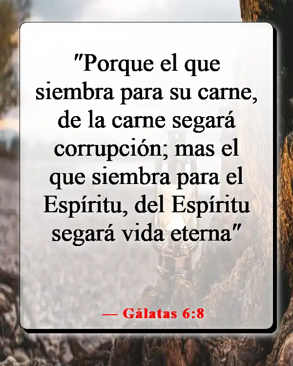 Versículos de la Biblia sobre sembrar y cosechar (Gálatas 6:8)