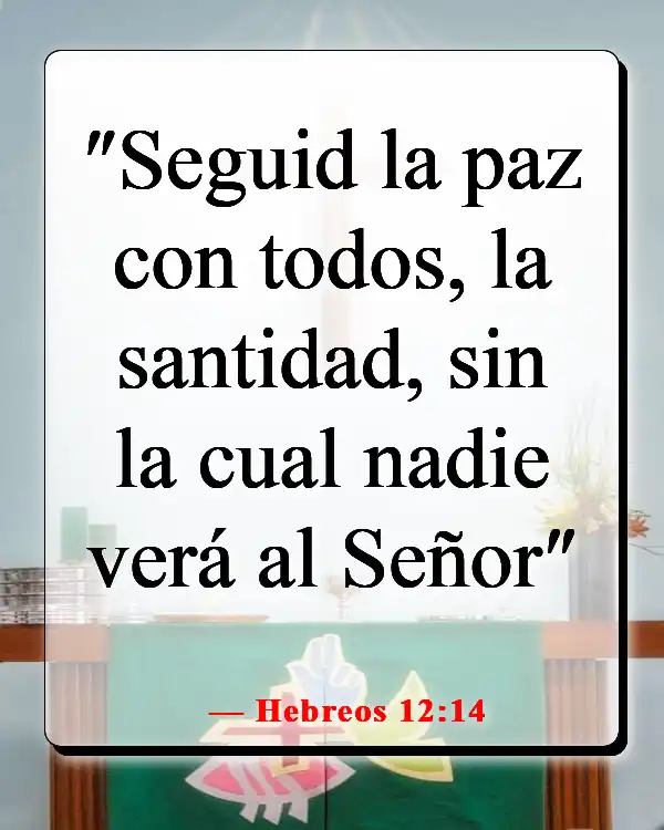 Versículos de la Biblia sobre elegir a los amigos correctos (Hebreos 12:14)