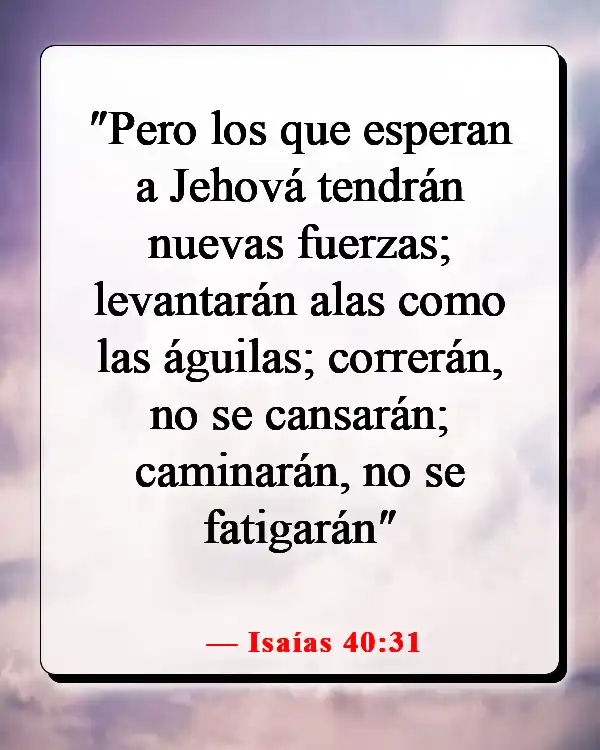 Versículos de la Biblia sobre cómo Dios te envía a la persona correcta (Isaías 40:31)