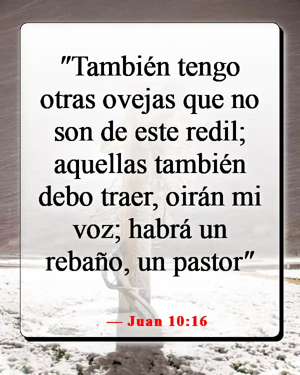 Versículos de la Biblia sobre guiar a otros hacia Dios (Juan 10:16)