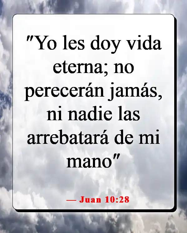 Versículos de la Biblia sobre celebrar la vida después de la muerte (Juan 10:28)