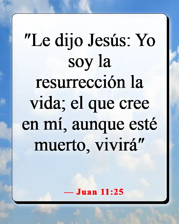 Versículos de la Biblia sobre creer sin ver (Juan 11:25)