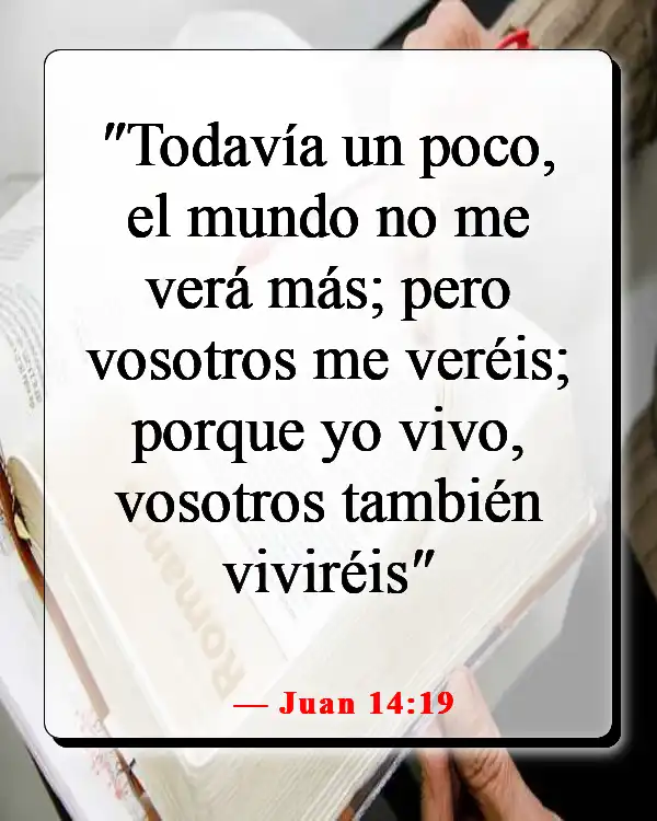 Versículos de la Biblia sobre celebrar la vida después de la muerte (Juan 14:19)