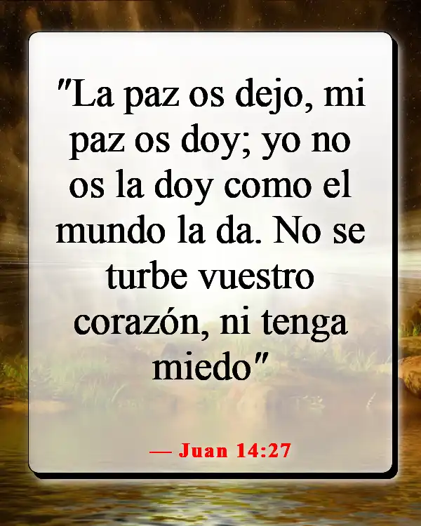 Versículo de la Biblia sobre llenar tu mente con cosas buenas (Juan 14:27)