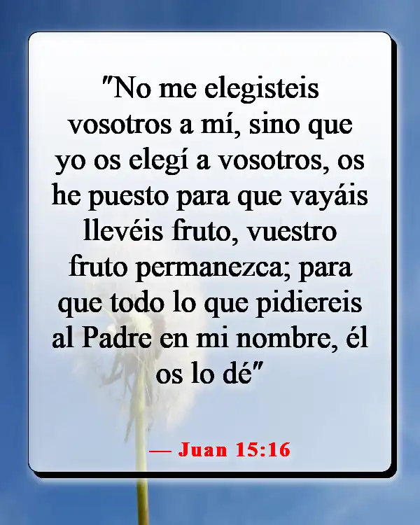 Versículos de la Biblia sobre guiar a otros hacia Dios (Juan 15:16)