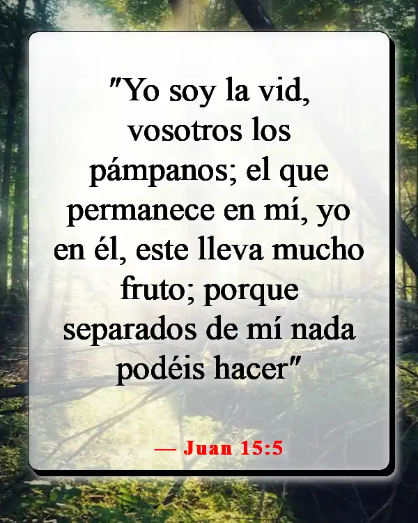 Versículos de la Biblia sobre no ser perfecto (Juan 15:5)