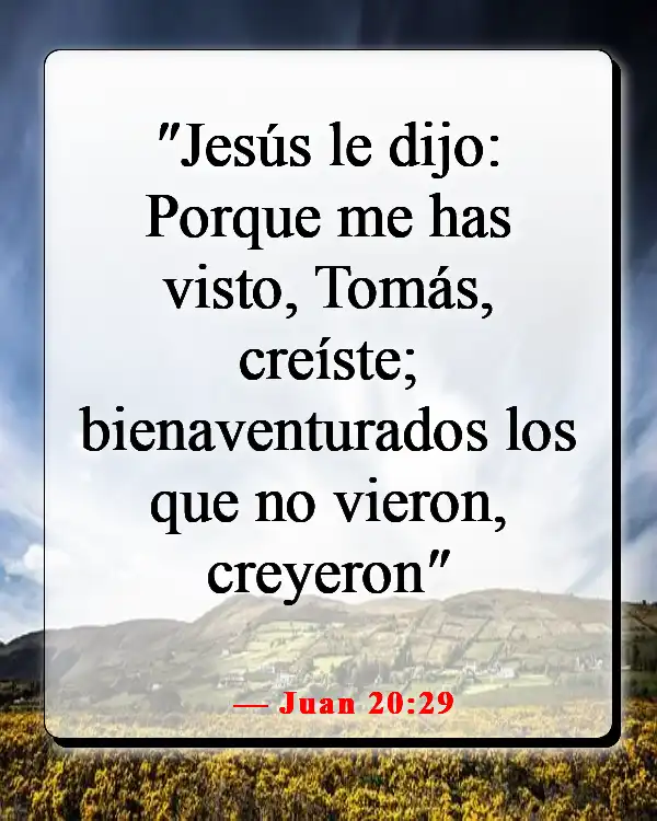 Versículos de la Biblia sobre creer sin ver (Juan 20:29)