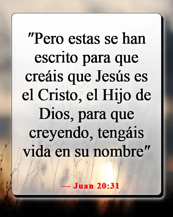 Versículos de la Biblia sobre creer sin ver (Juan 20:31)