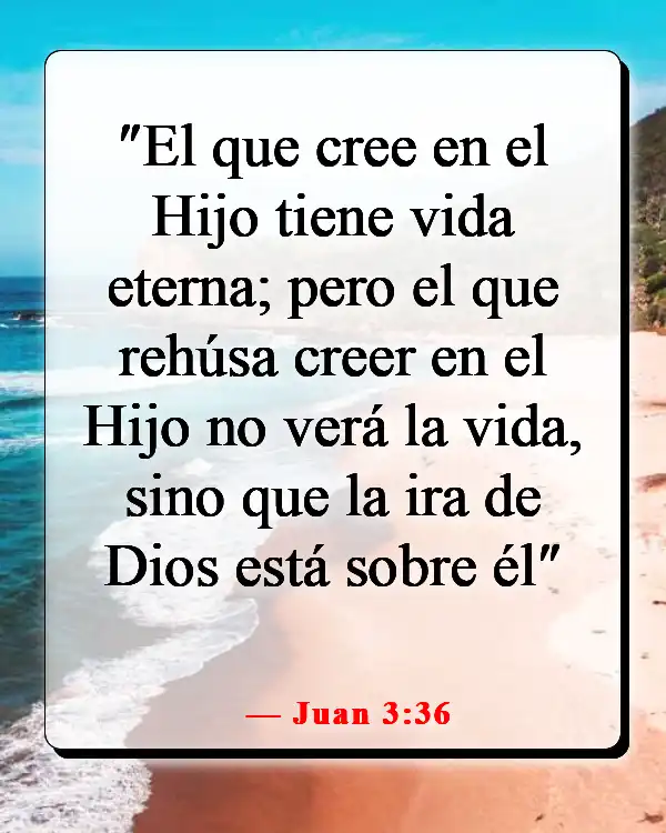 Versículos de la Biblia sobre creer sin ver (Juan 3:36)