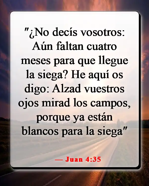 Versículos de la Biblia sobre sembrar y cosechar (Juan 4:35)