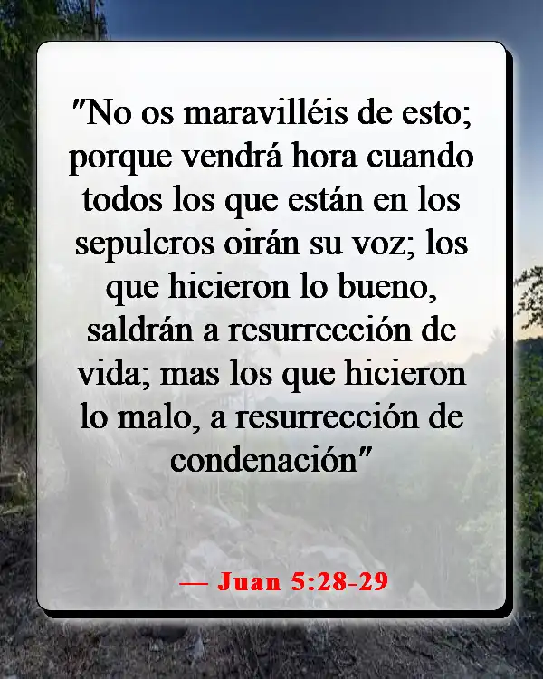 Versículos de la Biblia sobre celebrar la vida después de la muerte (Juan 5:28-29)