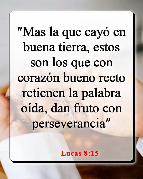 Versículos de la Biblia sobre guiar a otros hacia Dios (Lucas 8:15)