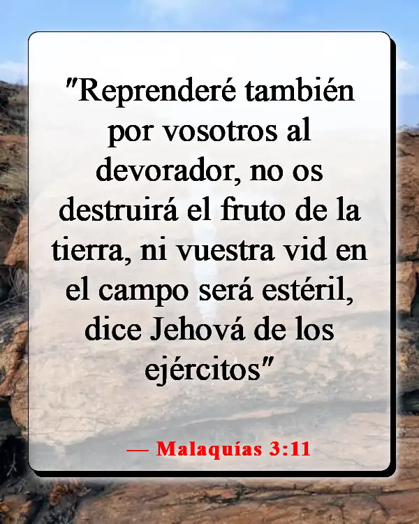 Versículos de la Biblia sobre sembrar y cosechar (Malaquías 3:11)