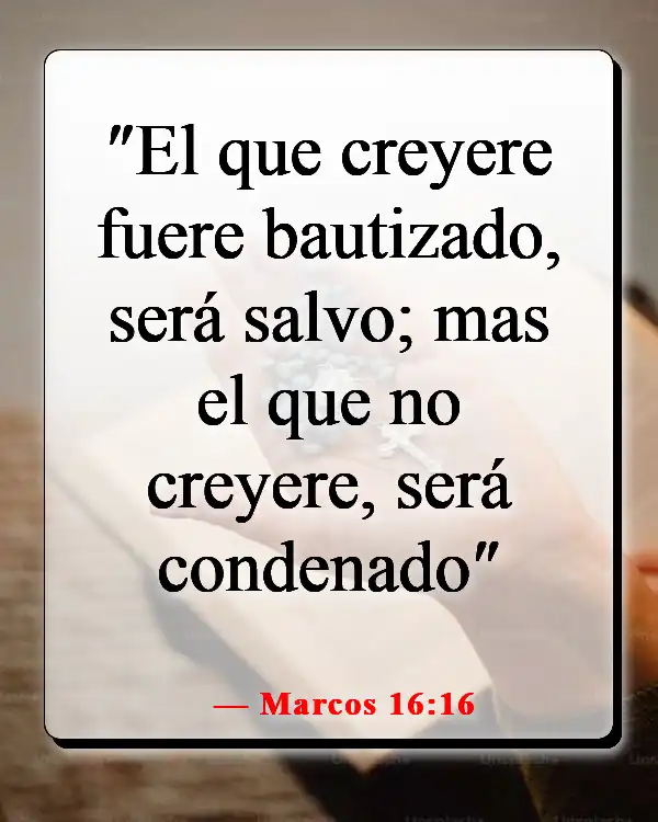 Versículos de la Biblia sobre el plan de salvación de Dios (Marcos 16:16)