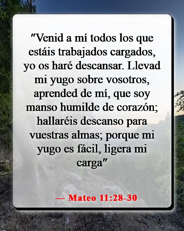 Versículos de la Biblia sobre luchar por lo que es correcto (Mateo 11:28-30)