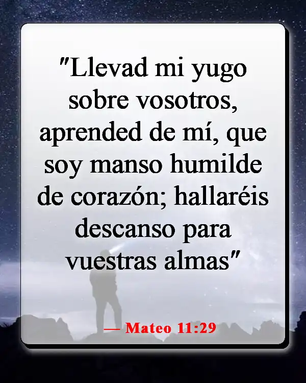 Versículos bíblicos sobre ser más como Jesús (Mateo 11:29)